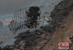 环保部：13个行业下半年核发排污许可证