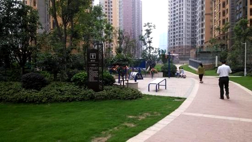 张昕：对标整改 明确责任 全面提升生活小区管理水平