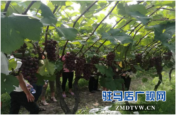 微信图片_20170807090000.png
