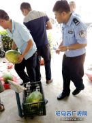 民警助瓜农 帮扶献真情