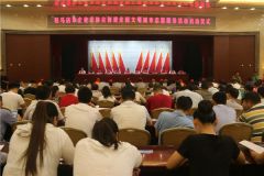 驻马店市企业家协会创新载体多渠道助力全市创文攻坚工作
