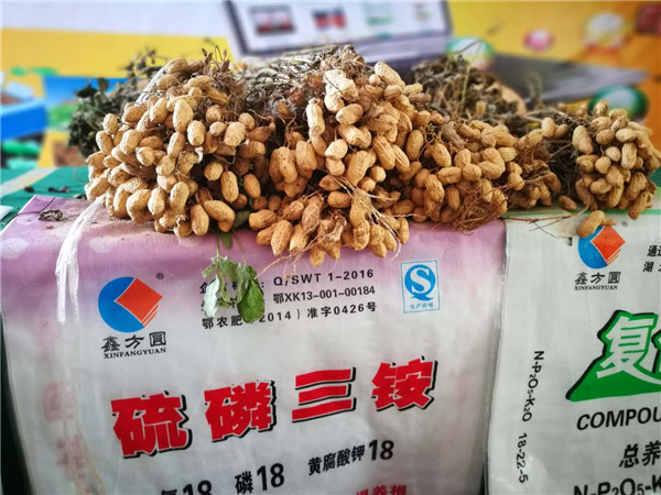 微信图片_20170816155434.jpg
