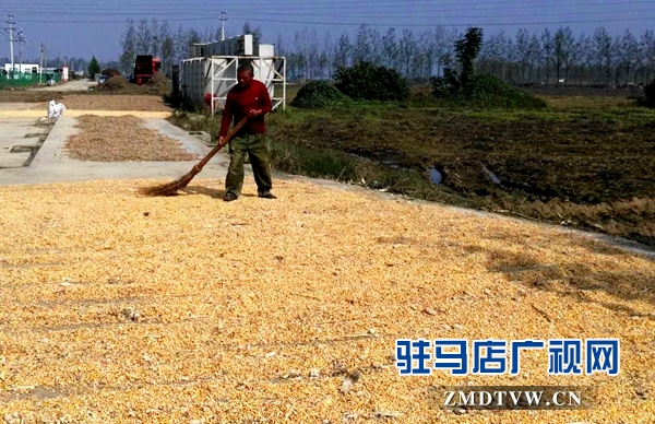 微信图片_20171020160123.jpg