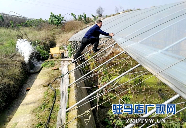 微信图片_20171020160138.jpg
