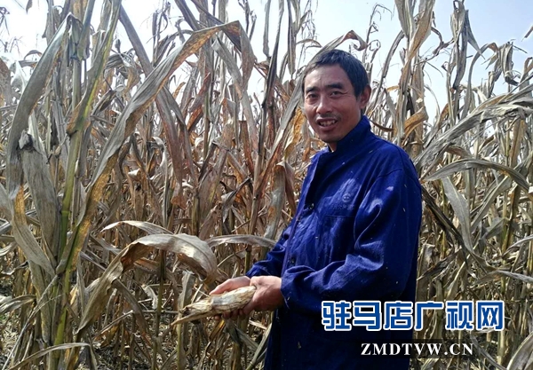微信图片_20171020160110.jpg