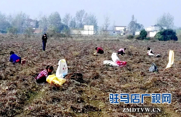 微信图片_20171020160104.jpg