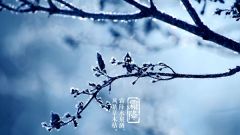 今天“霜降” 本周天气晴好 早晚凉意明显