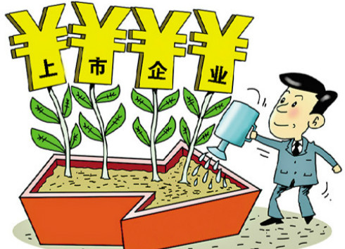 王晓刚：抢抓政策机遇 把企业上市工作摆在突出位置