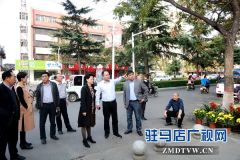  史爱民：强力推进百城提质建设工程工作