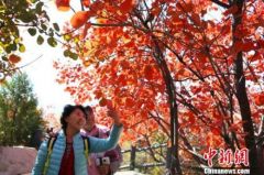 深秋时节冷空气频繁 多地迎下半年“最冷早晨”