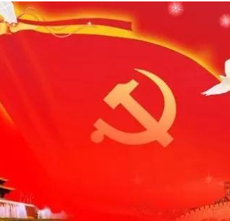 驻马店市委政法委学习贯彻党的“十九大”精神