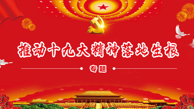 推动十九大精神落地生根