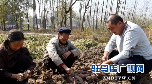 微信图片_20171103085727.jpg