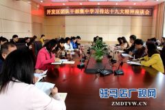 共青团驻马店经济开发区委组织学习“十九大”精神