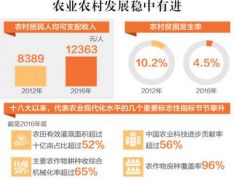 聚焦乡村振兴：土地承包再延长三十年意义何在？