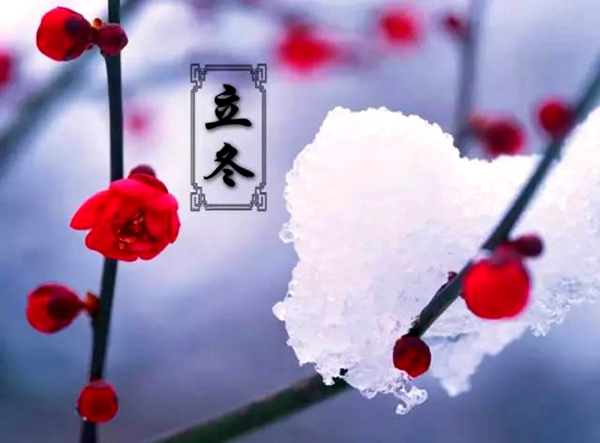 秋意正浓时 “立冬”悄然至