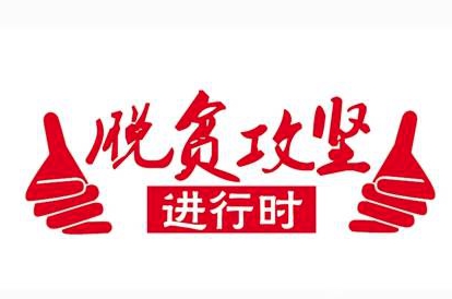 王志华到沙河店镇调研指导脱贫攻坚工作