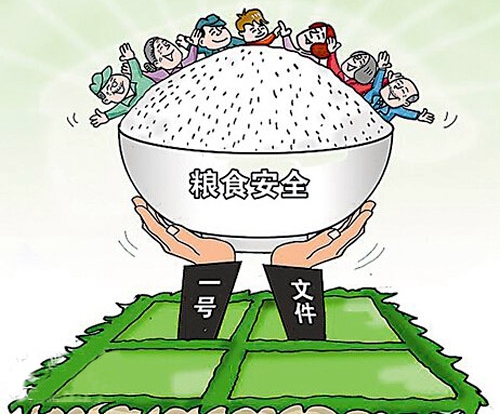 驻马店召开粮食安全生产责任制考核工作联席会