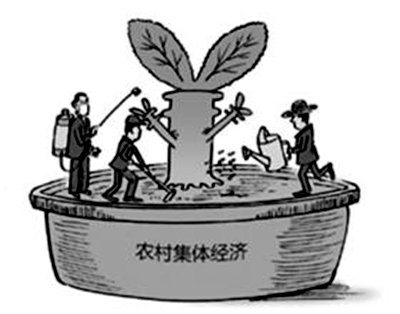 西平：发展集体经济  增加村民收入