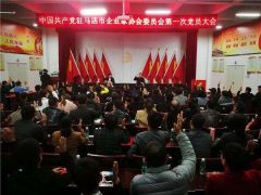驻马店市企业家协会里有了党组织