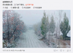 下雪啦 ！就在河南洛阳、三门峡 有图有真相