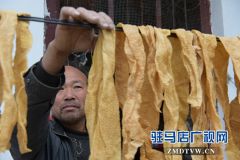 上蔡：拟脱贫户院里晒幸福