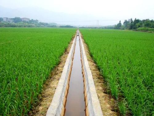 全市冬春农田水利基本建设电视电话会议召开