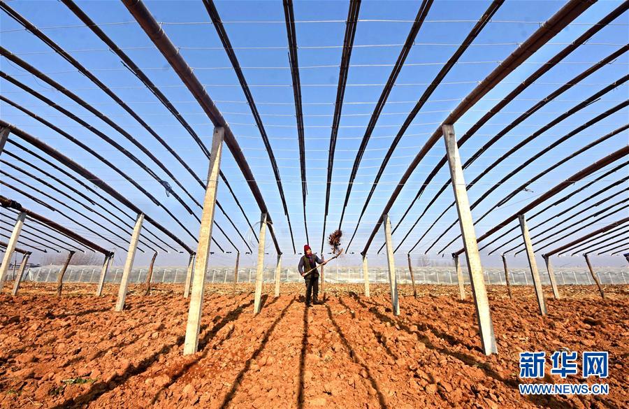 1121995469_15113383847011n (1).jpg