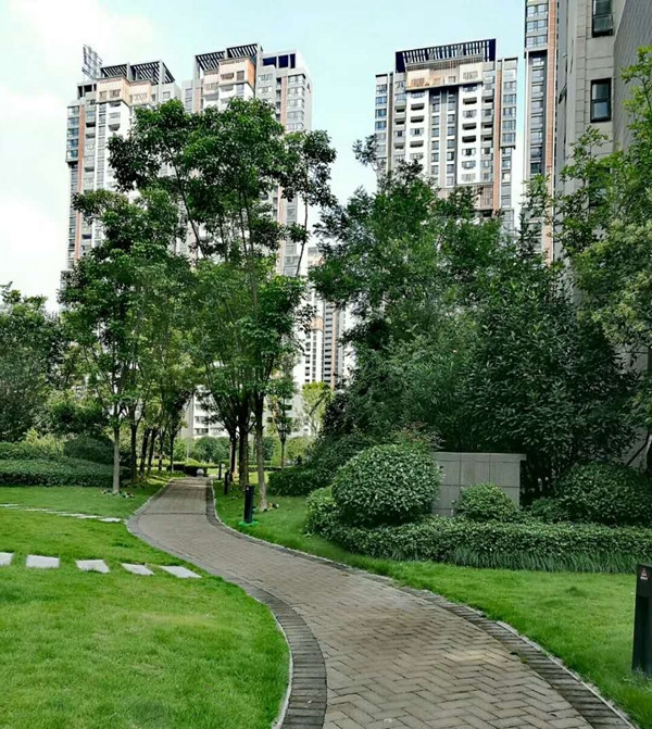 驻马店“创文”成功 市民幸福感获得感提升