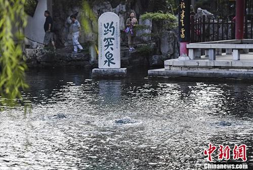 9月6日,游客观赏趵突泉“三股水”。 <a target='_blank' href='http://www.chinanews.com/'>中新社</a>记者 张勇 摄 9月6日,游客观赏趵突泉“三股水”。 <a target='_blank' href='http://www.chinanews.com/'>中新社</a>记者 张勇 摄