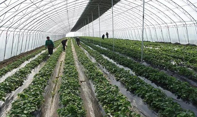 1512003494597209.jpg 222.jpg