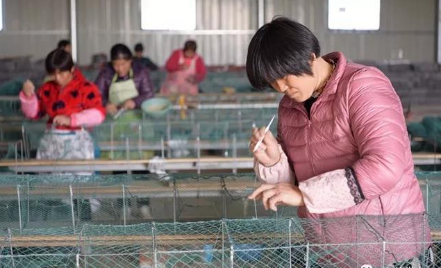 1512003524392611.jpg 999.jpg