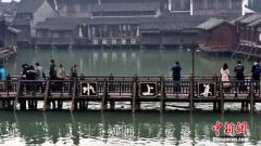 世界互联网大会将启幕 “乌镇时间”期待四大看点