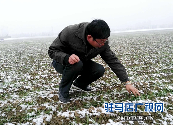 微信图片_20171214101406.jpg