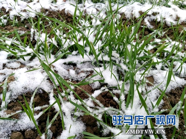 微信图片_20171214101351.jpg