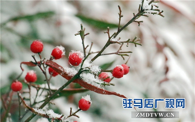 微信图片_20171214112632.jpg