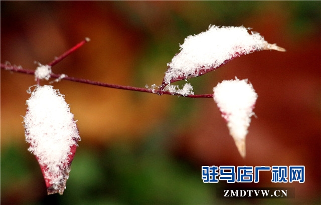 微信图片_20171214112627.jpg