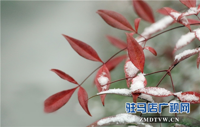 微信图片_20171214112621.jpg
