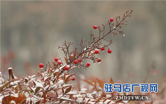微信图片_20171214112629.jpg