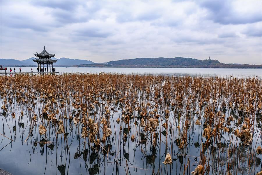 冬日西湖呈现“多彩画卷”