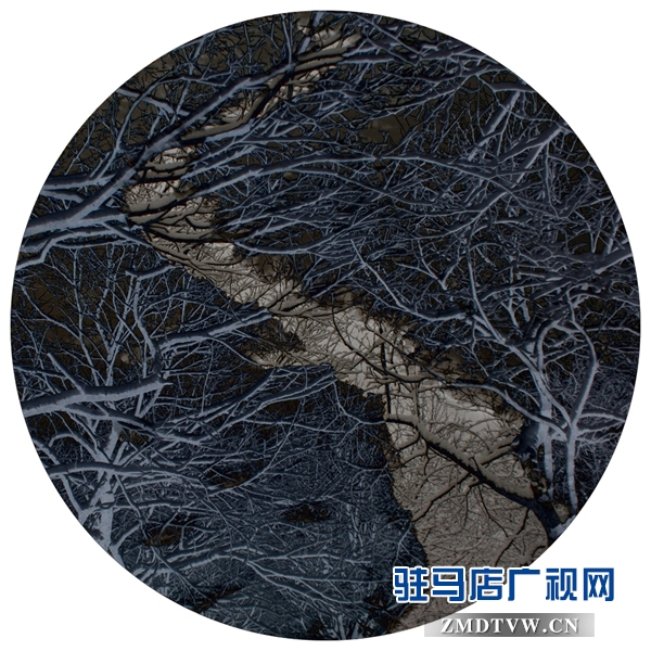 8、《故园惊梦》优秀奖-刘明.jpg