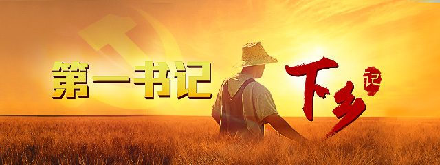 陈召起当选“2017河南十大年度扶贫人物”