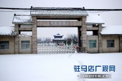 雪中看正阳