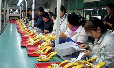 上蔡县新年签约首个项目总投资22亿元