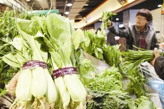 雪后天晴 菜价回落