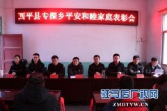 团市委组织开展为平安建设联系点办实事集中活动