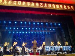 高雅艺术音乐会亮相天中