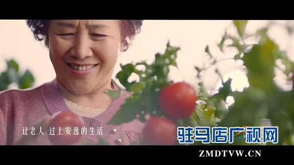微信图片_20180127162137.jpg