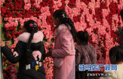 全国最大的鲜花二维码亮相嵖岈山 3万朵鲜花暖透春节