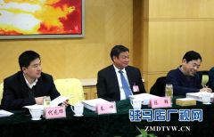 政协委员分组审议市政协常委会工作报告和提案工作报告